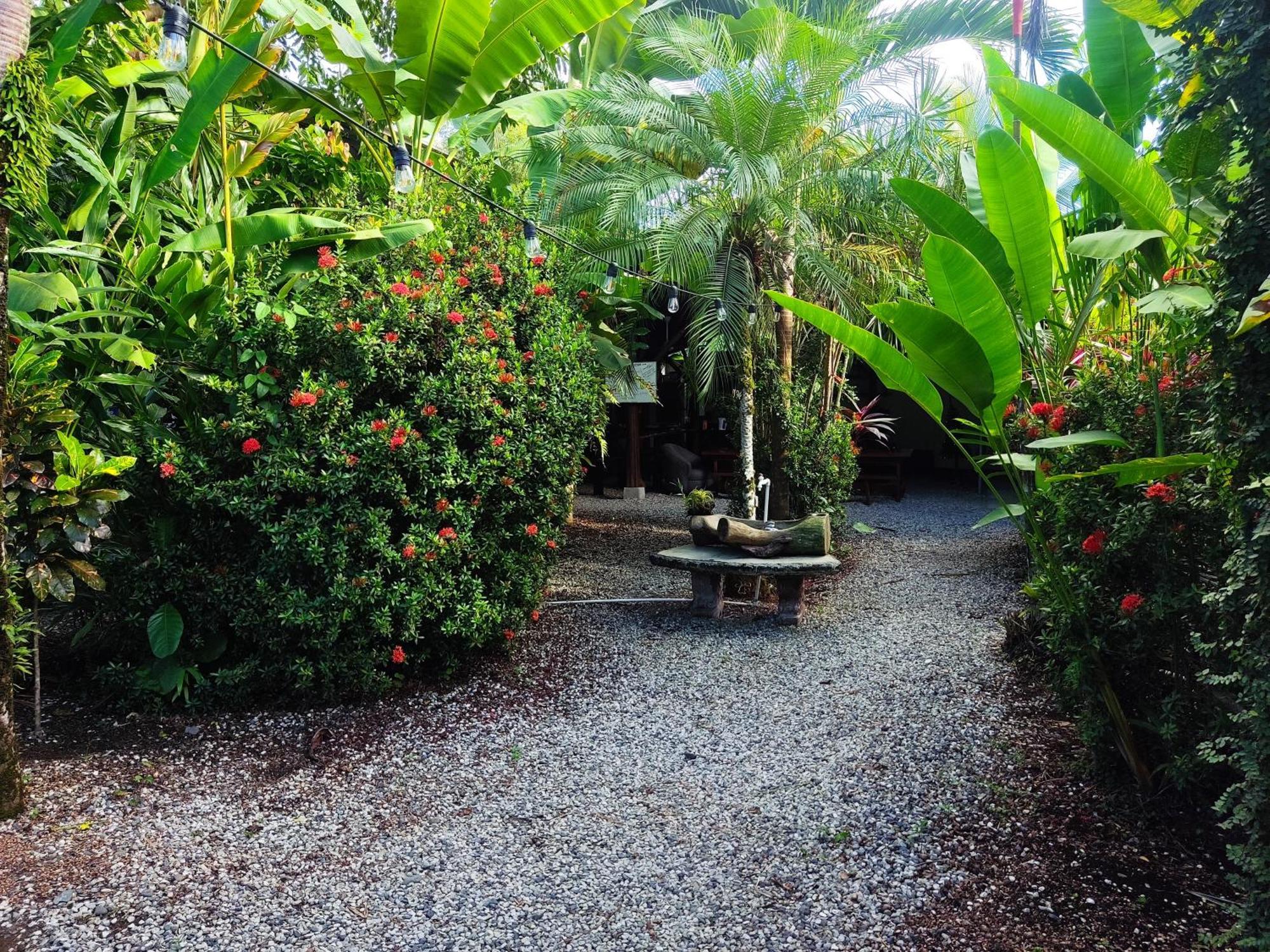 Hotel Cabinas Tropicales Puerto Jiménez Exteriér fotografie